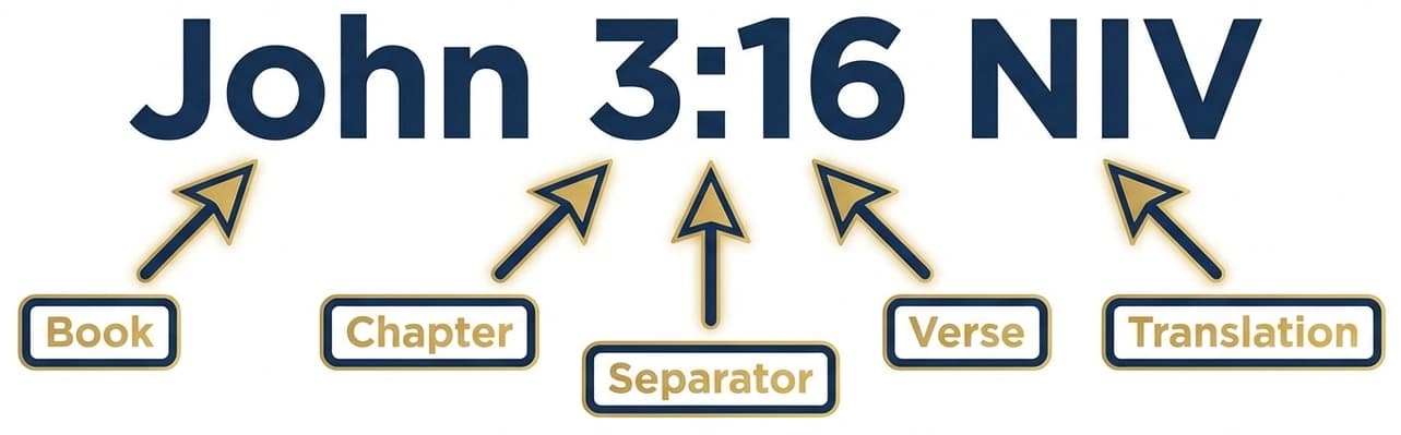 An infographic explaining the components of a Bible verse citation, using John 3:16 NIV as an example. Gold arrows label the book, chapter, separator (colon), verse, and translation.